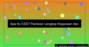 apa itu css dan kegunaannya