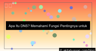 ilustrasi apa itu dns dan fungsinya