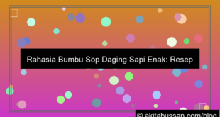 bumbu sop daging sapi