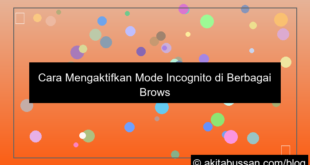 visual cara mengaktifkan mode incognito