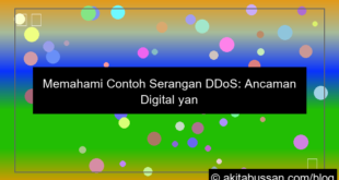 gambar contoh serangan ddos