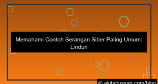 ilustrasi contoh serangan siber