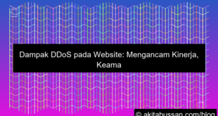 dampak ddos pada website