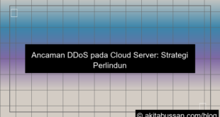 visual ddos pada cloud server