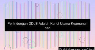 ddos protection adalah