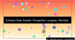 visual enkripsi data adalah