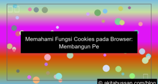 visual fungsi cookies pada browser