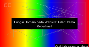 grafik fungsi domain pada website