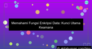 ilustrasi fungsi enkripsi data