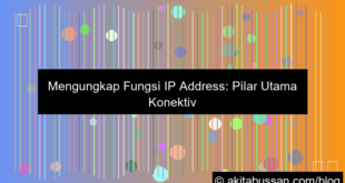 visual fungsi ip address di internet