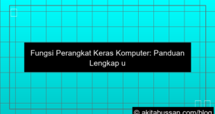 grafik fungsi perangkat keras komputer