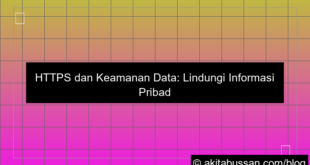 https dan keamanan data