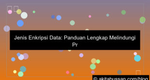 desain jenis enkripsi data