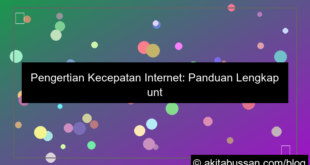 pengertian kecepatan internet