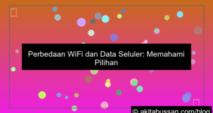 perbedaan wifi dan data seluler