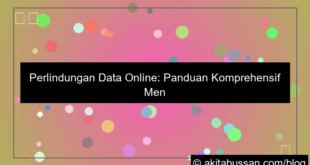 perlindungan data online