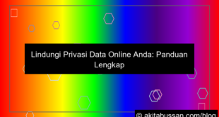 visual privasi data online