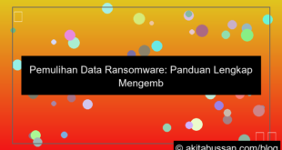 visual recovery data ransomware