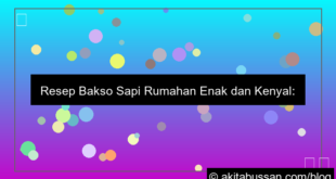 grafik resep bakso sapi