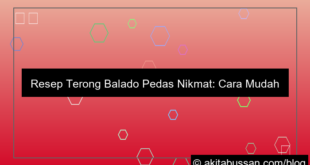 ilustrasi resep terong balado