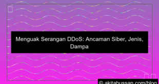 serangan ddos