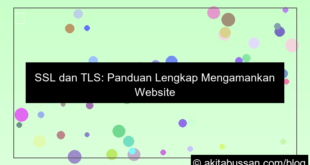 ilustrasi ssl tls adalah