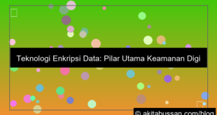 teknologi enkripsi data