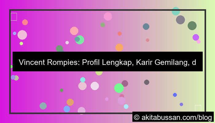 visual Vincent Rompies